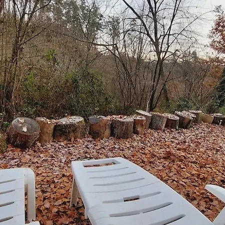 Petit Dans La Foret Σαλέ Gesves