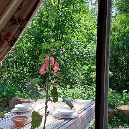 木屋 Petit Dans La Foret *