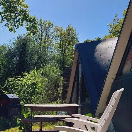 Petit Dans La Foret *