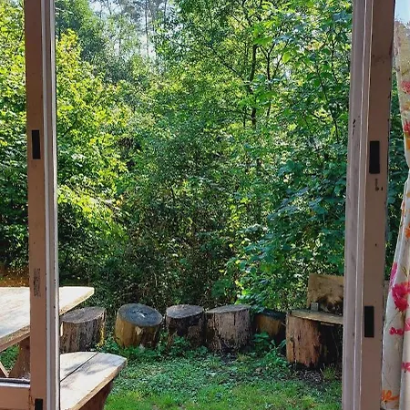Petit Dans La Foret