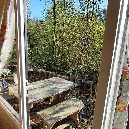 Petit Dans La Foret Gesves