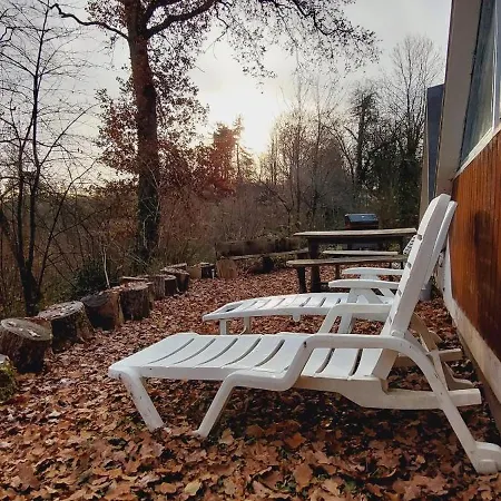 Petit Dans La Foret * Gesves