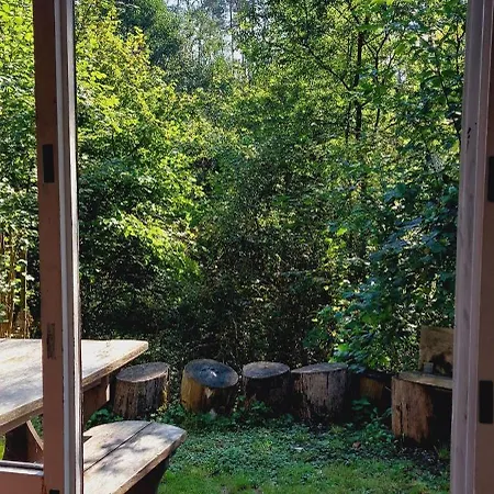 Petit Dans La Foret Gesves