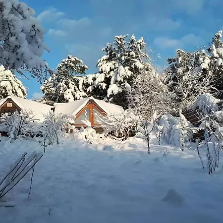 Σαλέ Petit Dans La Foret *