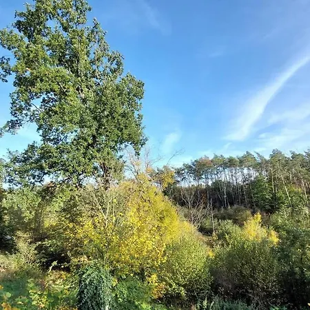 Σαλέ Petit Dans La Foret