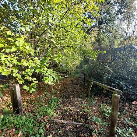 Petit Dans La Foret Σαλέ
